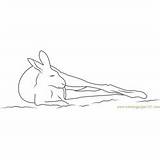 Acro Macropus Kangaroo Rufus sketch template