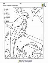 Parrot Rumped sketch template