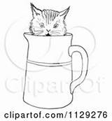 Pitcher Water Coloring Clipart Outlined Curious Kitten Pouring Pages Vector Template sketch template