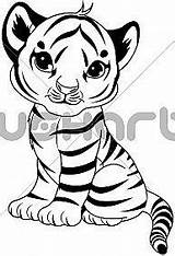 Tiger Coloring Pages Cute Drawing Cub Tigers Baby Animal Colouring Visit Cartoon sketch template