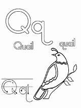 Quail Letter Coloring Pages Preschool Color Craft Template Bulkcolor Sheets Bulk Kids sketch template