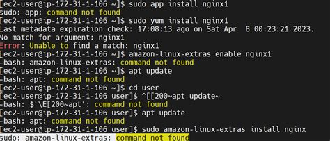 Sudo Amazon Linux Extras Command Not Found Nginx Phpout