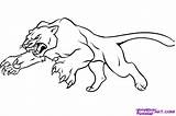 Panther Drawing Draw Animal Coloring Pages Step Pantera Dragoart sketch template
