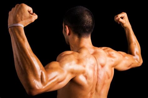 build broader shoulders fast with these training tips