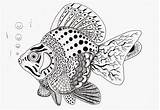 Zentangle Efie Vis Kwok Tangle Szkicownik Zentangles Vissen Fish Tekenen Stylowi Animales Mandalas Swojej Dieren sketch template