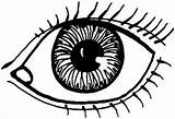 Eye Coloring Pages Printable Getcolorings Color sketch template