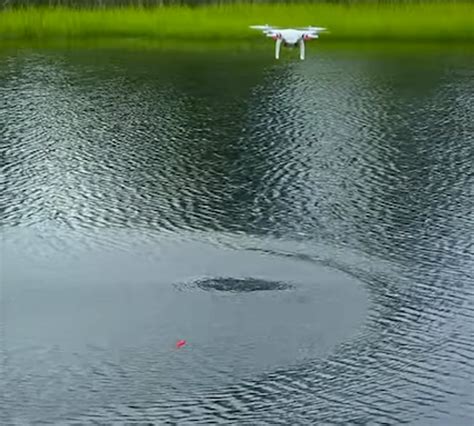 north carolina set  outlaw hunting  fishing drones ieee spectrum