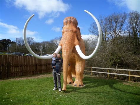 roots  wings entwine dino tastic family fun day   dinosaur park tenby review