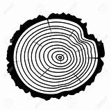 Log Tree Vector Cut Wood Clipart Wooden Grain Drawing Rings Ring Logs Illustration Stock Getdrawings Clipartmag Dmstudio Bark Concentric Clipground sketch template