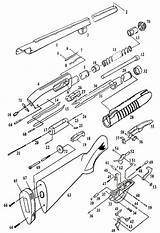 Shotgun Drawing Line Pump Getdrawings Action Google sketch template