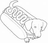 Cachorro Quente Pages Basset Sausage Weenie Weiner Hounds Tudodesenhos Dachsunds sketch template
