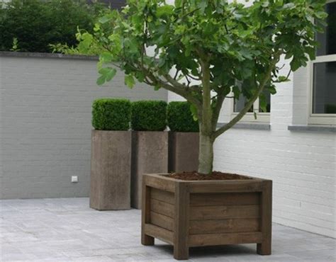 incredible design  wood planter boxes  big plants homesfeed