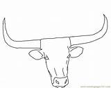 Coloring Cow Longhorn Pages Texas Head Drawing Printable Steer Face Cattle Color Clipart Bull Outline Cartoon Horns Drawings Long Draw sketch template