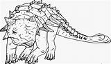 Realistic Ankylosaurus Coloringpagesonly sketch template