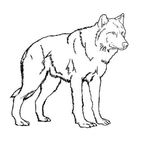 red wolf coloring pages puppy coloring pages wolf colors horse