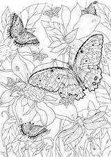 Butterflies Favoreads sketch template