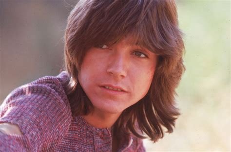 david cassidy wallpapers high quality download free