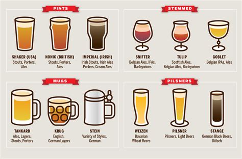 Different Types Of Pint Glasses Daily Infographics