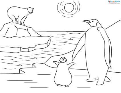 printable penguin coloring sheets  facts  kids lovetoknow