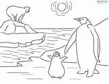 Colorear Habitats Ecosistemas Artico Terrestres Antarctic Biopedia Penguins Colouring Sabana sketch template