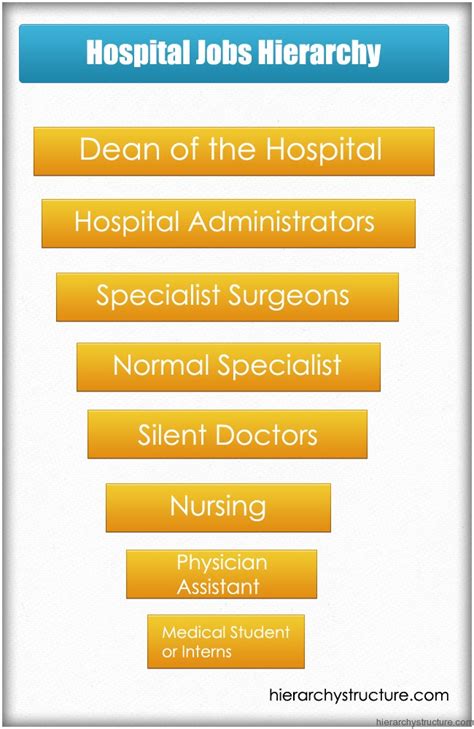 hospital jobs hierarchy hierarchical structures  charts