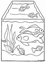Aquarium Coloring Pages Fish Getdrawings Drawing Recommended Getcolorings Color sketch template