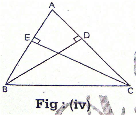 In The Given Figure Iv Ab Ac Bd Perpendicular To