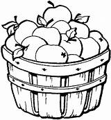 Coloring Apple Basket Pages Fruit Fall sketch template