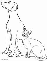 Coloring Dog Hunting Pages Cat Realistic Getcolorings Printable Getdrawings Drawing sketch template