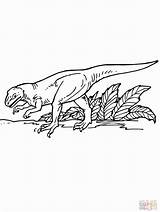 Allosaurus sketch template
