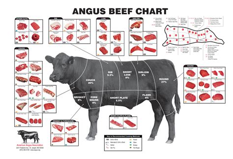 dsr cattle beef sizes  cuts annadesignstuffcom