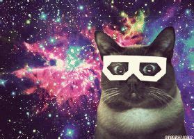 pin  kanaya maryam  omg space cat galaxy cat