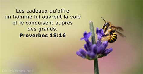 proverbes  verset de la bible dailyversesnet