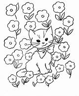 Coloring Easter Kids Pages Cat Fun Kitty Color Sheets Printable Children Flowers Cats sketch template