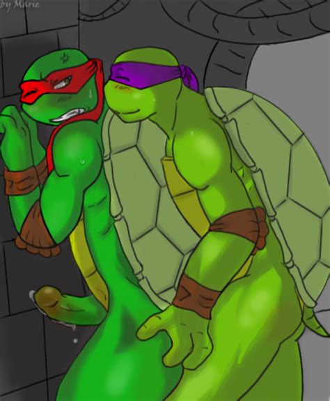 Post 926216 Donatello Raphael Teenage Mutant Ninja Turtles
