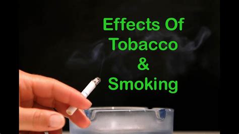 Top 10 Tobacco Health Effects And Side Effects Of Smoking