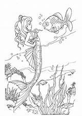 Ausmalbilder Malvorlagen Meerjungfrauen Meerjungfrau Erwachsene Ausdrucken Ausmalen Einhorn Ladybug Meist Gedownloadete sketch template