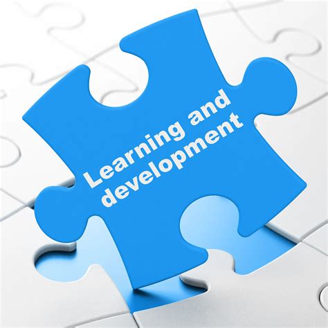 learning  development strategy examples