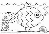 Fish Coloring Choose Board Outline Pages sketch template