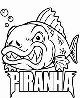 Piranha Topcoloringpages Petey Rainforest sketch template