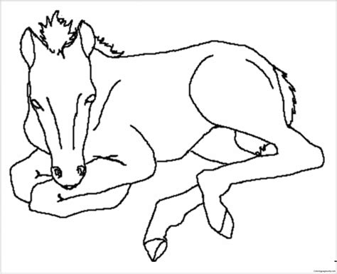 baby horses coloring pages coloring home cute horse coloring pages