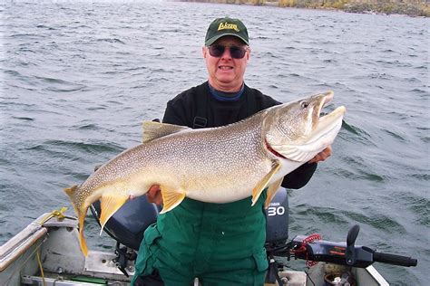 deep summer lake trout  light tackle  fish species bass fishing forums