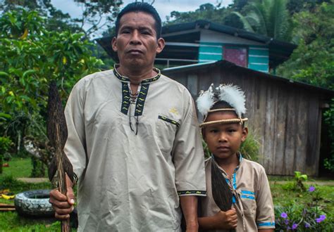 forest defenders  panamanian tribe regains control   lands yale