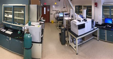 Gas Chromatography Mass Spectrometry Environmental