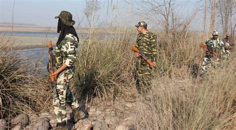 Pakistani National Held While Trying To Cross Border In Gujarat Bsf