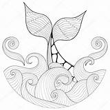 Whale Tail Sketch Zentangle Waves Illustration Adult Stock Drawing Freehand Style Vector Ocean Tattoo Coloring Getdrawings Panki Paintingvalley Collection Depositphotos sketch template
