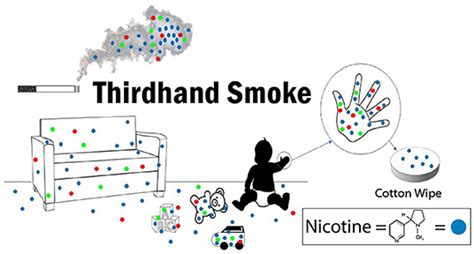 Frontiers Collecting Hand Wipe Samples To Assess Thirdhand Smoke Exposure
