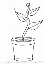 Plant Drawing Pot Draw Kids Plants Step Flower Easy Drawings Tutorials Learn Getdrawings Paintingvalley Make Tutorial sketch template