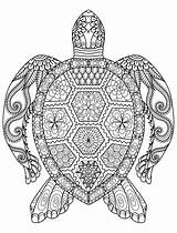 Coloring Adult Adults Colouring Pages Turtle Printable Kids sketch template