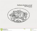 Grilled Chicken Salad Hand Pesto Sauce Sketch Draw Food Vector Preview sketch template